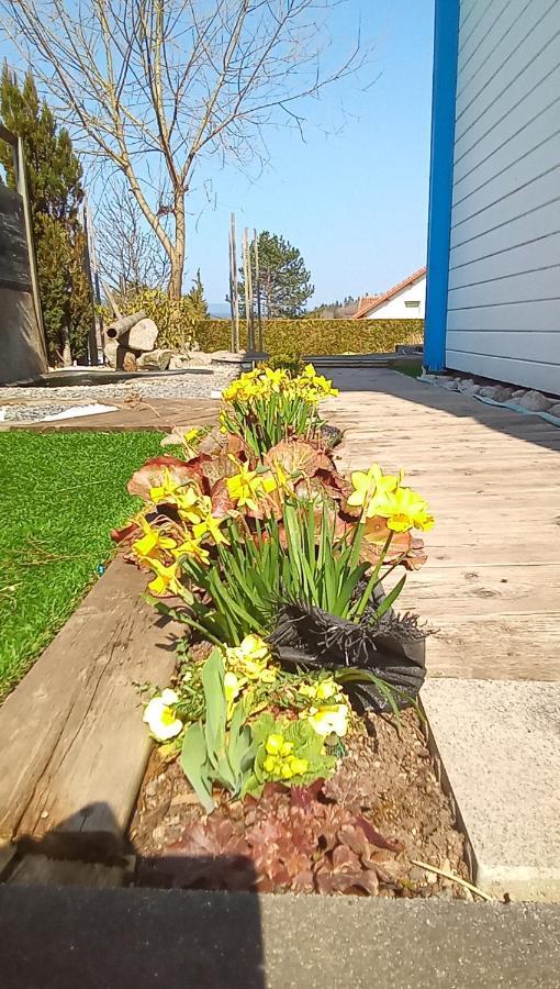 Logement De Charme Coinches Exterior foto